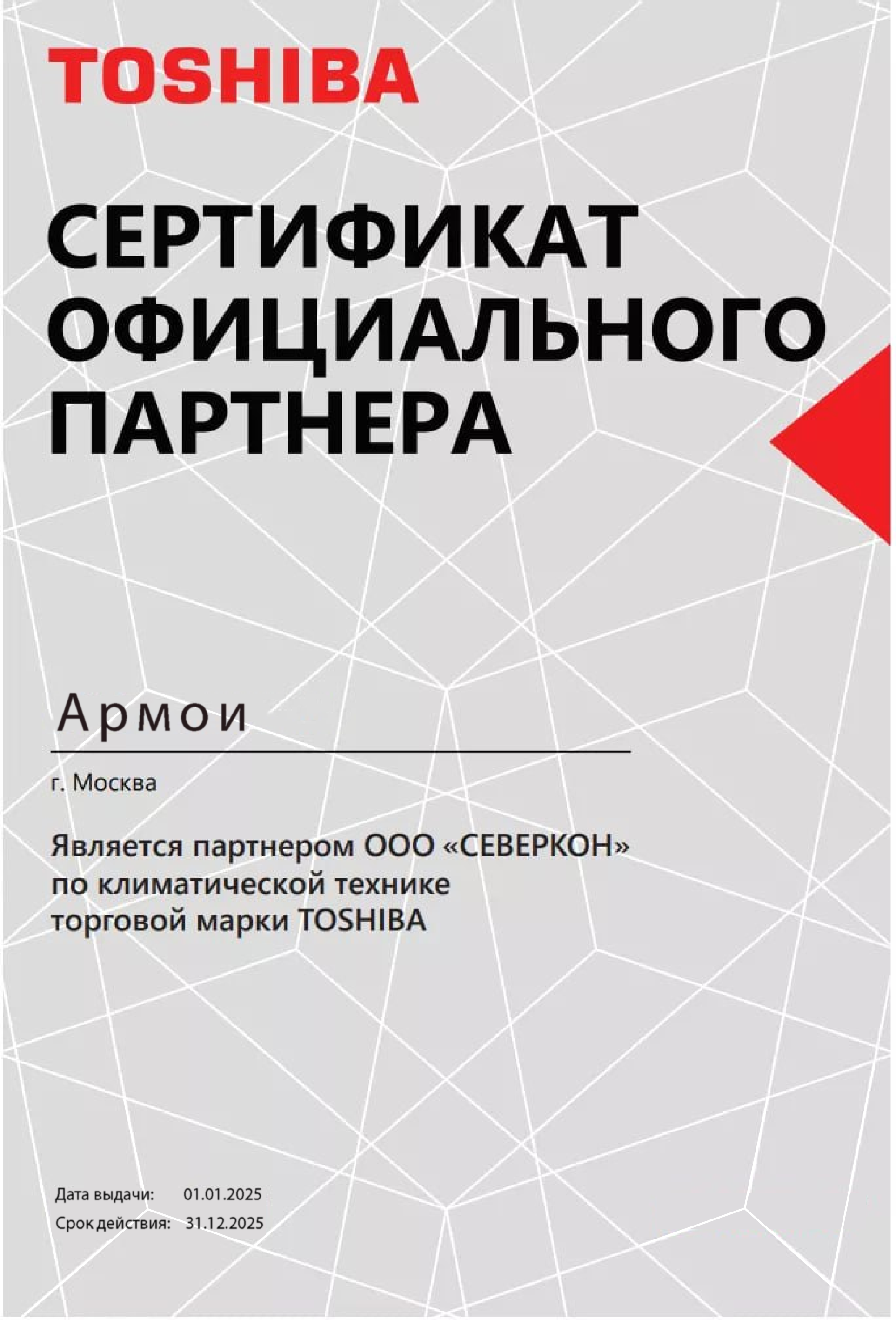 Дилер Toshiba_Монтажная область 1.png