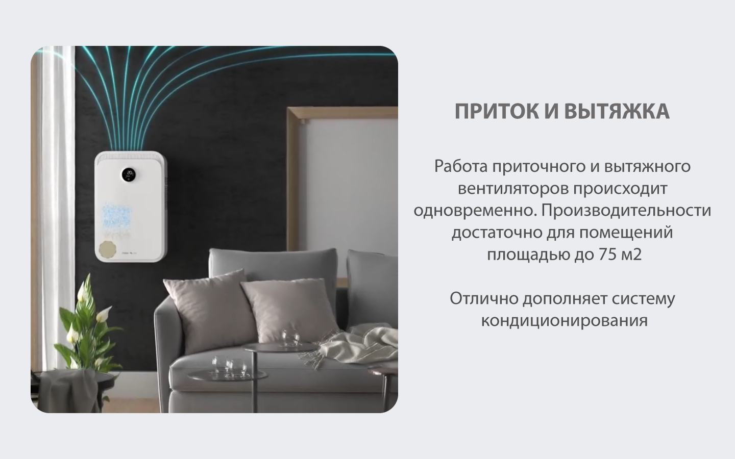 Fuji 1_Монтажная область 1.png