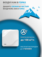 Приточный очиститель воздуха Tion Lite