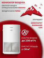 Очиститель воздуха Funai YAKATA HAP-Y230S01E